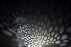 Voronoi Pes 2 – LED lampa - Bílá, 25cm