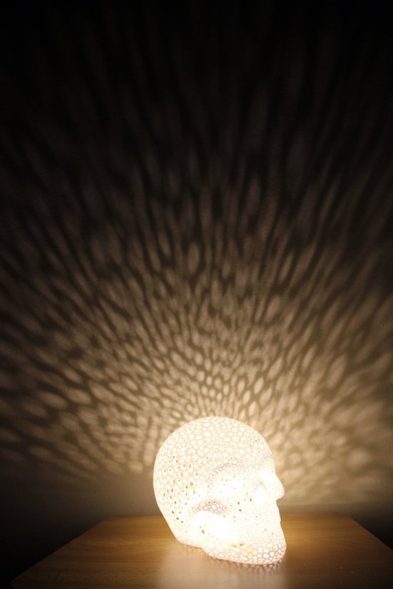 Voronoi Lebka – LED lampa - Bílá, 20cm