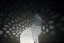 Voronoi Zajíc – LED lampa - Bílá, 25cm